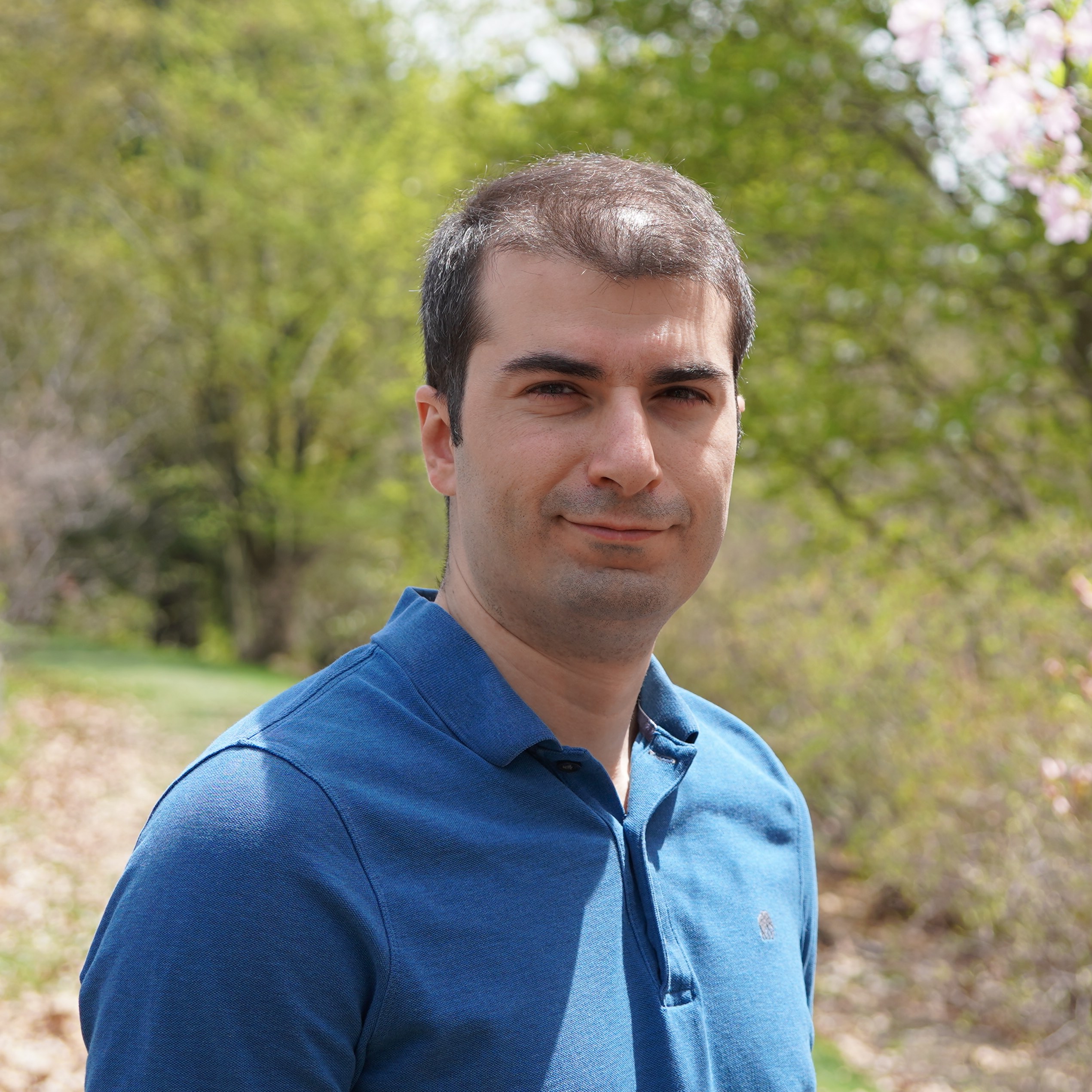 Amir Pahlavan