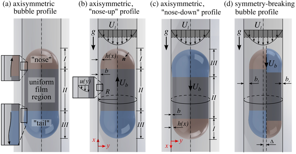 Non-unique bubble dynamics in a vertical capillary with an external flow