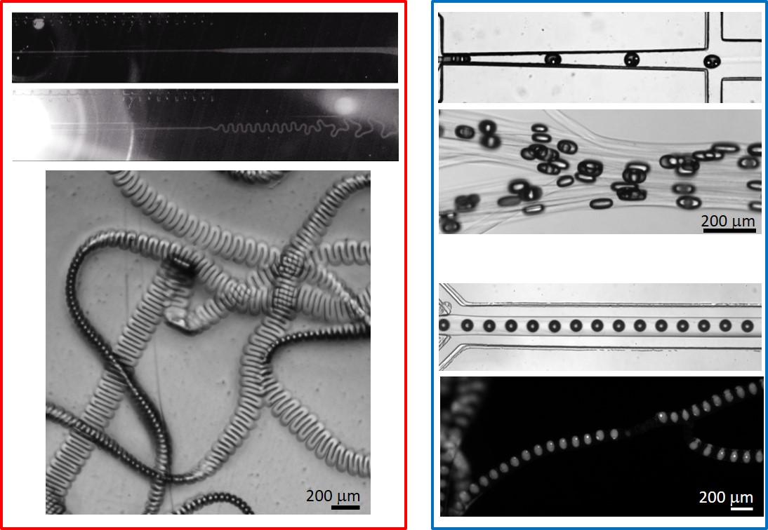 Microfluidic fabrication of microfibers